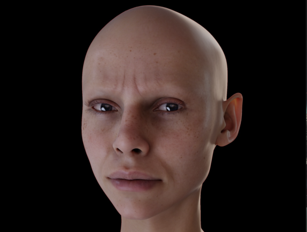 Bald head 3D
