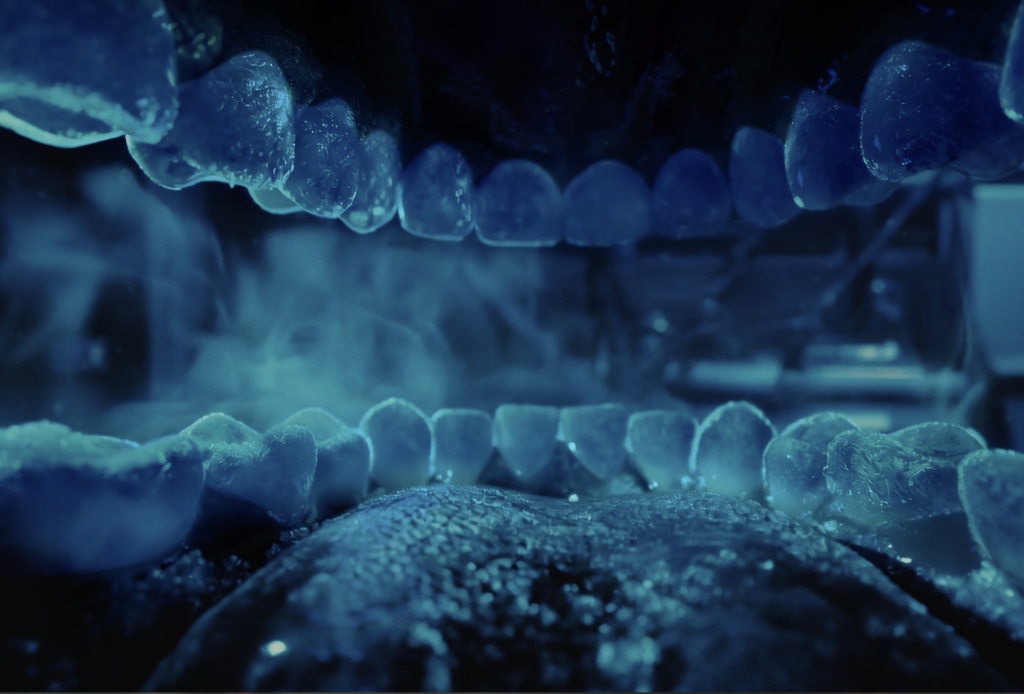 Mouth interior 2