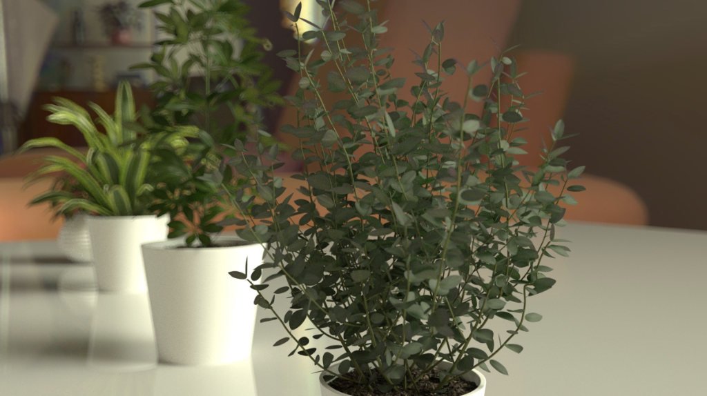 Plants